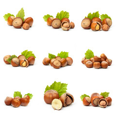 Set of Hazelnut nut many leaves isolated on a white background as a packaging design element