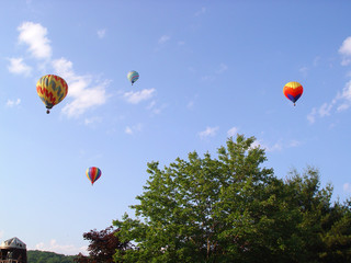 Hot air balloons on parade