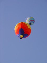 Hot air balloon takes flight