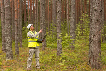 A forest engineer works in the forest with a computer. A man in a white helmet holds in his hands a...