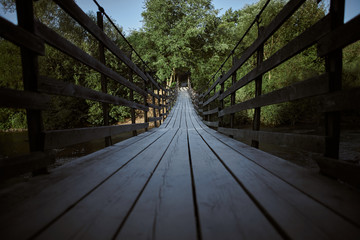 Old wooden bridge leading into green trees