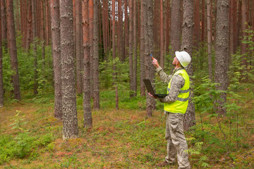 A forest engineer works in the forest with a computer. A man in a white helmet holds in his hands a...