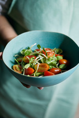 Fresh vegetable mixed salad on plate. .
