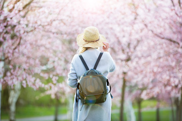 Beautiful woman in straw hat traveling in beautiful park with cherry trees in bloom, enjoying the...