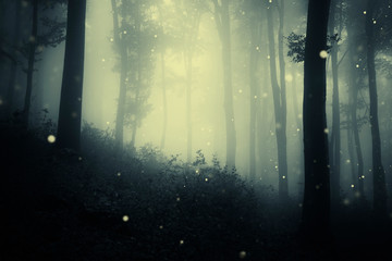 fireflies in forest, magic sparkles in dark woods fantasy landscape
