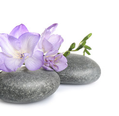 Obraz na płótnie Canvas Spa stones and freesia flowers on white background