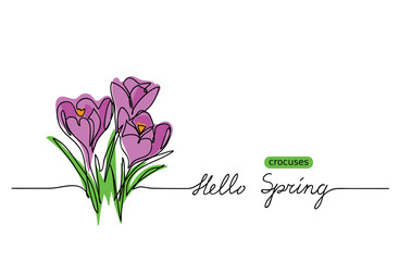 Crocuses blossom vector sketch, doodle.  Hello Spring lettering. Crocuses web banner, illustration, border, card, background. © alstanova@gmail.com