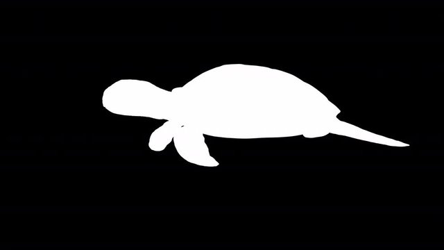 Sea turtle swim animation loop with 3d rendering include alpha path.