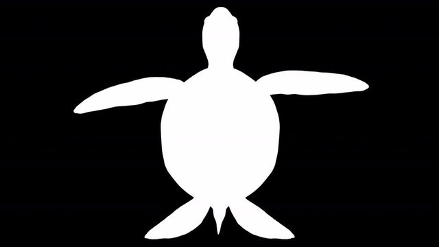 Sea turtle swim animation loop with 3d rendering include alpha path.