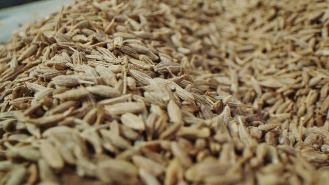 dry aromatic jeera grains in plastic container macro