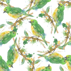 Seamless pattern: hand-drawn watercolor bird on a branch. Background is isolated. image resolution 300 dpi