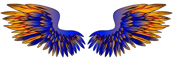 Beautiful magic glwing gradient blue golden wings, hand drawn vector