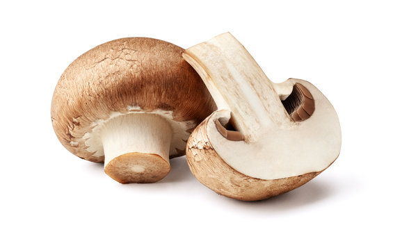 Two fresh mushrooms champignons, one whole and the other cut in half isolated on white background with clipping path