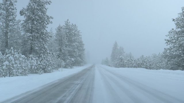POV: Driving down a snowy country road in Washington during a severe blizzard. Cool first person view of the snowy pine forests surrounding an empty snow covered road. Winter commute from Spokane.