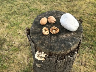 Nut-cracking Set