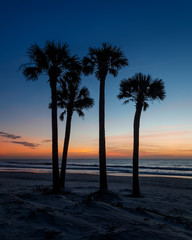 Fototapeta na wymiar Palm Trees on a Beach at Sunrise