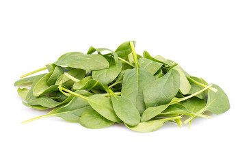 Fresh green spinach isolated on a white background