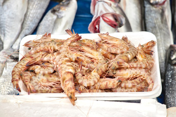 Fresh seafood at the fish market: shrimp, fish, langoustines