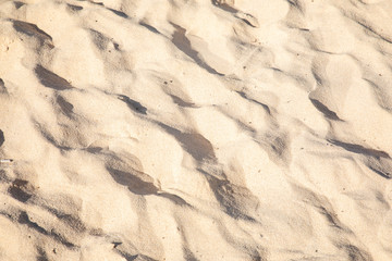 Fine sand texture - Sandy sunny beach for background - Top view - Full frame shot - Close-up sun sand texture on beach in summer – travel holiday vacation Close up