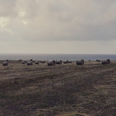 Strohballen am Mittelmeer