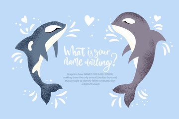 Happy valentine day vector textured dolphin animal card in a flat style with quote and real facts about love. Romantic killer whale couple illustration.