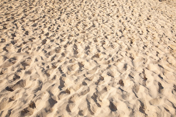Fine sand texture - Sandy sunny beach for background - Top view - Full frame shot - Close-up sun sand texture on beach in summer – travel holiday vacation Close up