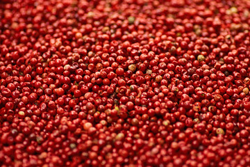 spice dried peas peas white, black, red, mix, pepper mills. Close up background