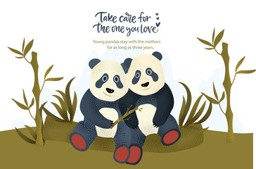 Happy valentine day vector textured panda bear animal card in a flat style with quote and real facts about love. Romantic illustration with cute pandas. Take care for the one you love.