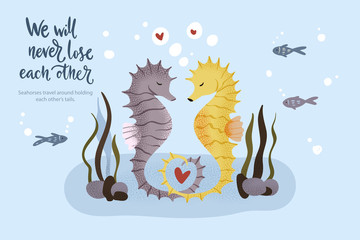 Happy valentine day vector textured seahorse animal card in a flat style with quote and real facts about love. Romantic illustration. Seahorses swim and hold on to their tails.  © trihubova