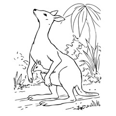 Mom & baby animals wild kangaroo. Vector illustration on a transparent background.