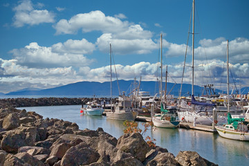 White yachts at a marina in a rocky cove