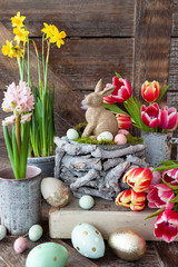 Frische bunte Fruehlingsblumen