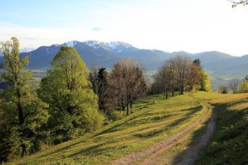 Fototapeta premium natural spring landscape with mountains