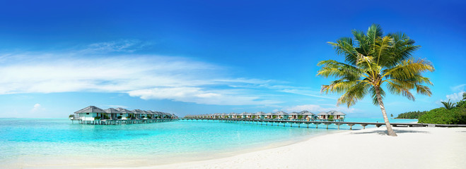 Coconut Palm tree on amazing perfect white sandy beach in island of Maldives panoramic view. Water bungalows in ocean against blue sky with clouds. Nature summer vacation background, copy space.