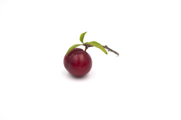Cherry isolated on white background