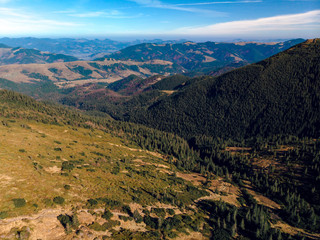 Aerial view of the Carpathian mountains, hiking trail to the peak of Pop Ivan, Mount Smotrych. alpine vegetation, blueberries and coniferous forests. Dzembronya, Ukraine