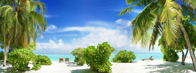 Beautiful tropical beach with white sand, palm tree, beach sunbeds turquoise ocean on background blue sky with clouds on sunny summer day. Perfect landscape for relaxing vacation, island of Maldives.