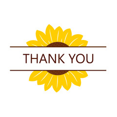 Split Sunflower with thank you. Clipart image isolated on white background