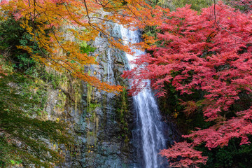 紅葉と箕面大滝