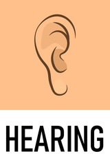 Hearing sense icon. Clipart image isolated on white background