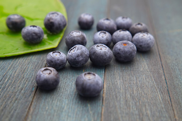 Blueberries and a large round green leaf