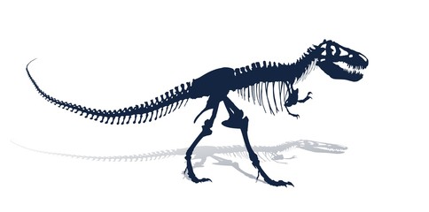 The Skeleton of ancient big dinosaur.