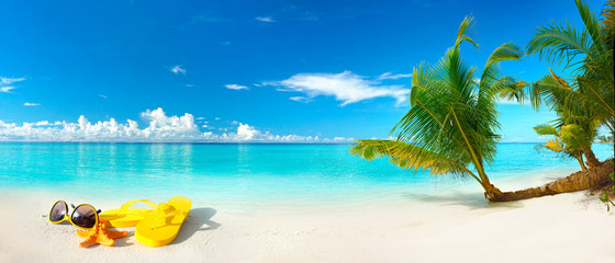 White sand beach, turquoise ocean, blue sky, clouds, palm tree over water, sunglasses, flip-flops...