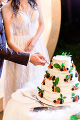 Obraz na płótnie Canvas Cropped image of hands of elegant pretty young bride and groom cutting the wedding cake, decorated with figs, fresh blackberry and greenery