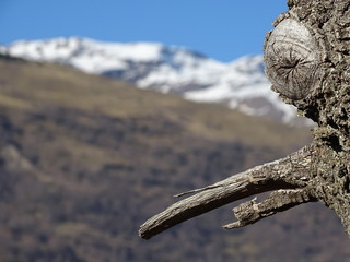 Fabelwesen mit Blick auf die verschneite Sierra Nevada in Südspanien im Winter