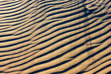 The abstract contrast texture of the ripple sand surface lits low sun light