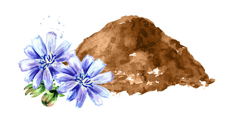 Chicory powder and cichorium flowers. Watercolor hand drawn illustration isolated on white background