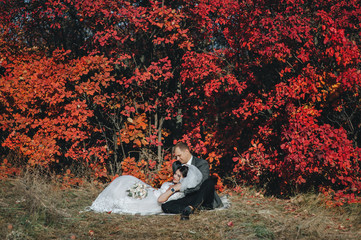 Stylish groom and beautiful brunette bride are sitting on a plaid against a background of red bushes and hugging tenderly. Wedding autumn portrait of lovers newlyweds. Photography, concept.