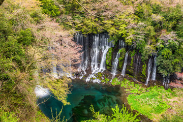 Shiraito Falls, Fujinomiya, Japan
