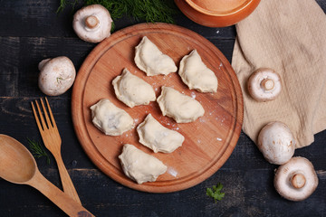 Cooking Ukrainian dumplings. Kitchen Products